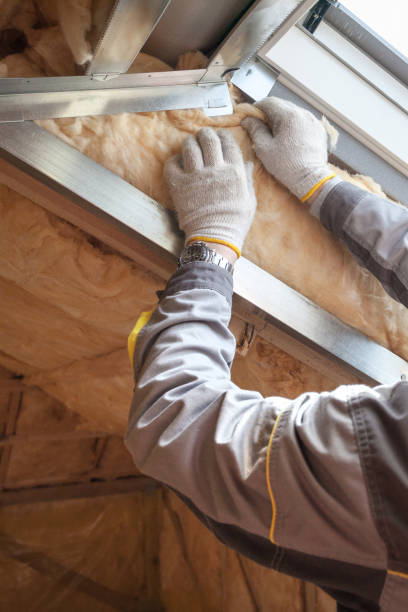 Types of Insulation We Offer in Felton, CA